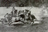 Grabado, XIX, Goya, Francisco de, El  Esforzado Redn Picando un Toro en cuya suerte Muri en la Plaza de Madrid,  Tauromaquia, M. del Prado, Madrid, Espaa, 1914-1916