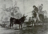 Grabado, XIX, Goya, Francisco de, Suerte de varas en el campo, Tauromaquia, M. del Prado, Madrid, ESpaa, 1914-1916