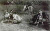 Grabado, XIX, Goya, Francisco de, Varilarguero a Hombros de un Chulo Picando un Toro, Tauromaquia, M. del Prado, Madrid, Espaa,  1814-1815