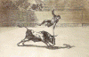 Grabado, XIX, Goya, Francisco de, Ligereza y Atrevimiento de Juanito Apinani en Madrid, Tauromaquia, M. del Prado, Madrid, Espaa, 1814-1816