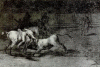 Grabado, XIX,  Goya, Francisco de, Mario Ceballos alias el Indio Mata un Toro desde su Caballo, Tautomaquia, M. Prado, Madrid, Espaa, 1814-1816