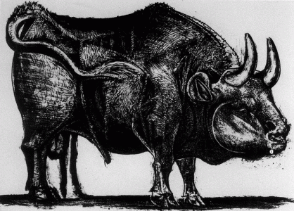 Pin, XX, Picasso, El toro, litografa, Col. Bernard Picasso, 1945