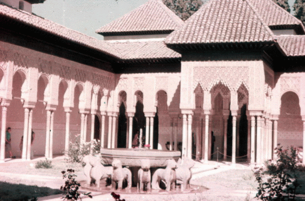 Arq, XIV, Alhambra, Patio de los Leones 1, Granada, Espaa