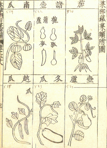 Pin XVII, DIN Ming, Li Shizhen, Compendio General en Materia Mdica, Impresin sobre Papel