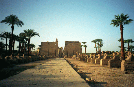 Arq, XIII, DIN XIX, Templo de Luxor, Avenida de las Esfinges, Ramss II, 1279-1213 aC.