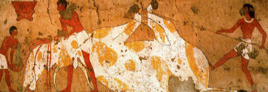 Pin, DIN XVII, Sacrificio de Buey, Capilla del faran Ity, 2190-2052