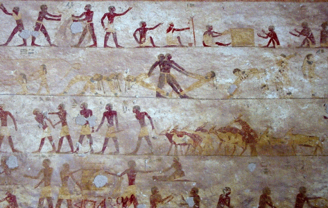 Pin, DIN XII, Escenas diversas, Amenemhet I, Beni Hassan, 1991-1962