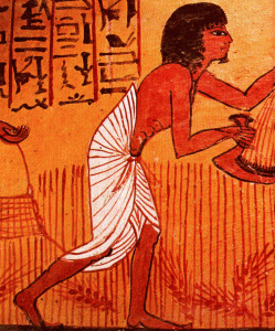 Pin, DIN XIX, Sennedjem segando trigo, Deir el Medina, Tebas, poca de Ramss II, 1279-1213
