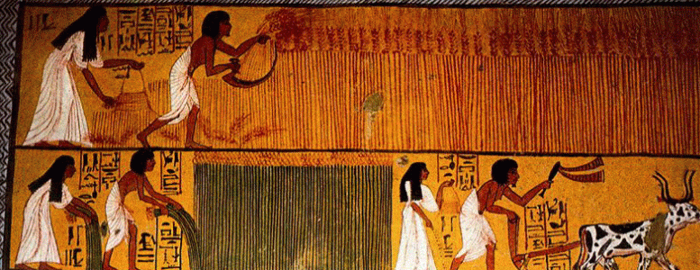 Pin, DIN XIX, Sennedjem y esposa arando, Deir el Medina, Tebas, poca de Ramss iI, 1279-1213