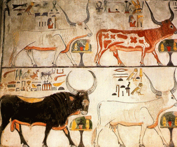 Pin, DIN XIX, Toro, cielo y vacas Hathor, Deir el Medina1295-1294