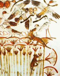 Pin, DIN XVIII, Aves y papiros , Tumba de Menna, poca de Thutmosis IV, 1419-1386