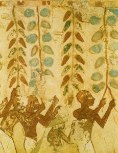 Pin, DIN XVIII, Campesinos pisando uva, poca de Amenofis II, hacia 1420