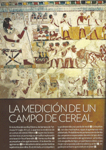 Pin, DIN XVIII, Medicin del campo de cereal,Tumba del escriba Menna. poca de Thutmosis IV, 1419-1386