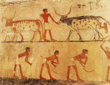 Pin, DIN VI, Pastor con el rebao y segadores, Mastaba de Kaemankh, 2345-2184