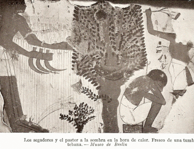 Pin, DIN XVIII, Segadores y pastor a la sombra, Tumba Tebana, M. Egipcio, Berln, 1350-1334