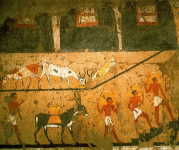 Pin, DIN VIII, Asno, cestos, Tumba de Ity, Museo Egipcio, Turn, Italia, 2190-2052