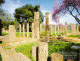 Arq, III aC., Palestra de Olimpia, Grecia