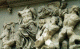 Esc, II aC.,Gigantomaquia, detalle, Grecia, Altar de Prgamo, Berln, Alemania 180-160