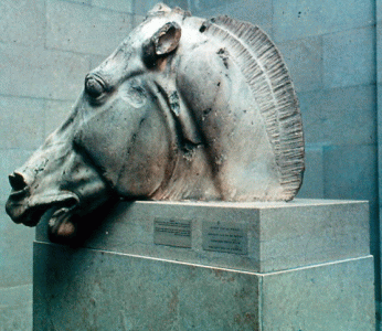Esc, V aC., Fidias, Cabeza del Caballo de Selene, Frontn, Partenn, Grecia, 447-432
