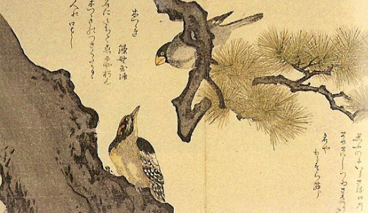 Pin, XVIII, Kitagawa Utamaro, Ciento mil pjaros, pesas humorsticas, British Museum, London