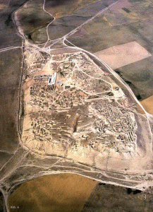 Arq, Ciudadela de Nimrud, vista area
