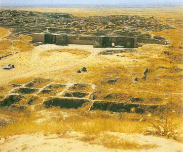 Arq, IX aC., Acrpolis de Nimrud, Epoca Neoasiria