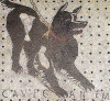Mosaico, I dC., Cuidado con el perro, Casa del Poeta Trgico, Pompeya, M. Arqueolgico de Npoles, Imperio, Roma