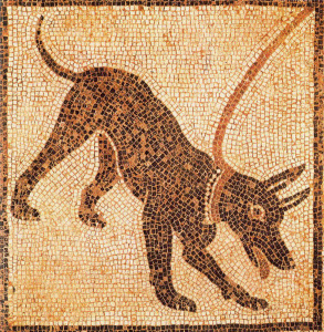 Mosaico, I, Cave Cane, Cuidado con el perro, Pompeya, M. Arqueolgico, Npoles, Imperio, Roma