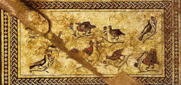 Mosaico, II-IV, Mosaico de Lod, Israel , Centro Arqueolgico, Israel, Imperio, Roma
