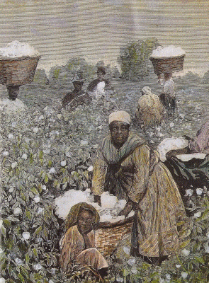 Art, Fotografa, XIX. Esclavos negros recogiendo algodn, Ilustracion Espaola y Americana, USA