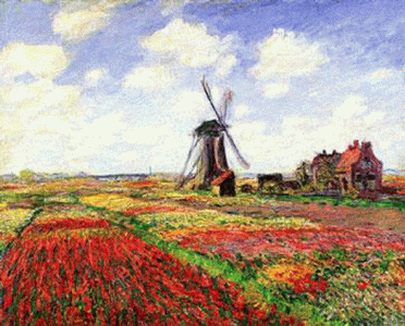 Pin, XIX, Monet, Claude, Tulipanes en Holanda, 1886