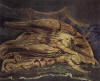 Pin, XVIII, Blake, William, Elohim Creando a Adan, Tate Gallery, Londres 1795
