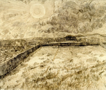 Pin, XIX, Gogh, Vicent van, Campo de trigo cercado, Kroller Muller Museum, Otterlo, 1889