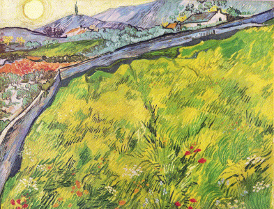 Pin, XIX, Gogh, Vicent van, El campo cercado en Saint Remy, 1889