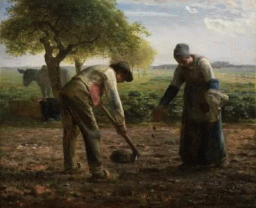 Pin, XIX, Gogh, Vicent van, La siembra de la patata