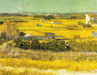 Pin, XIX, Gogh, Vicent van, Llanura de Crau en Arles, Museum van Gogh, Amsterdam, 1888