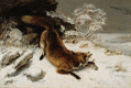 Pin, XIX, Courbet, Gustave, Zorro en la nieve, M. de Arte, Dallas, USA