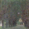 Pin, XX, Klimt, Gustav,Avenida en Schloods Kammer Park, Osterreichische Galerie, Viena, 1912