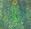 Pin, XX, Klimt, Gustav, El girasol, 1906-1907