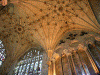 Arq XI-XIV Catedral Interior Bvedas Winchester Hampshire Inglaterra RU 1079-1394