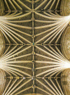Arq XIII a XIV Catedral de Exeter Interior Bvedas Reino Unido