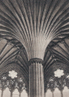 Arq XIII-XIV Catedral de Wells Bveda de Abanico