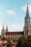 Arq XII Catedral de Ulm