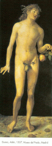 Pin, XV-XVI, Durero, Albert, Adan, M. del Prado, Madrid, Espaa, 1507
