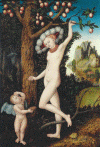 Art, Pin, XV, Cranach, Lucas, Cupido quejndose ante Venus, The National Gallery, London, 1470