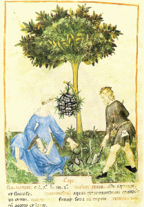 Pin, XIV, Giovannino de Grassi, Las cebollas, B. Nacional, Pars, 1380-1390