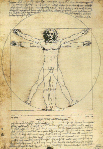 Dibujo, XV, Vinci, Leonardo da, El hombre, Academia de Venecia, 1492