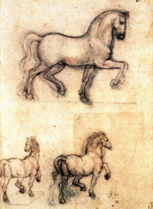 Dibujo, XV-XVI, Vinci, Leonardo da, Estudio, Caballo para monumento