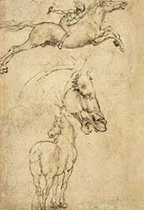 Dibujo, XV-XVI, Vinci, Leonardo da, Bosquejo de un caballo