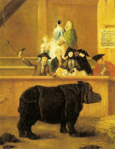 Pin, XVIII, Longhi, Pietro, El rinoceronte, Ca' Rezzonico, Venecia, 1751